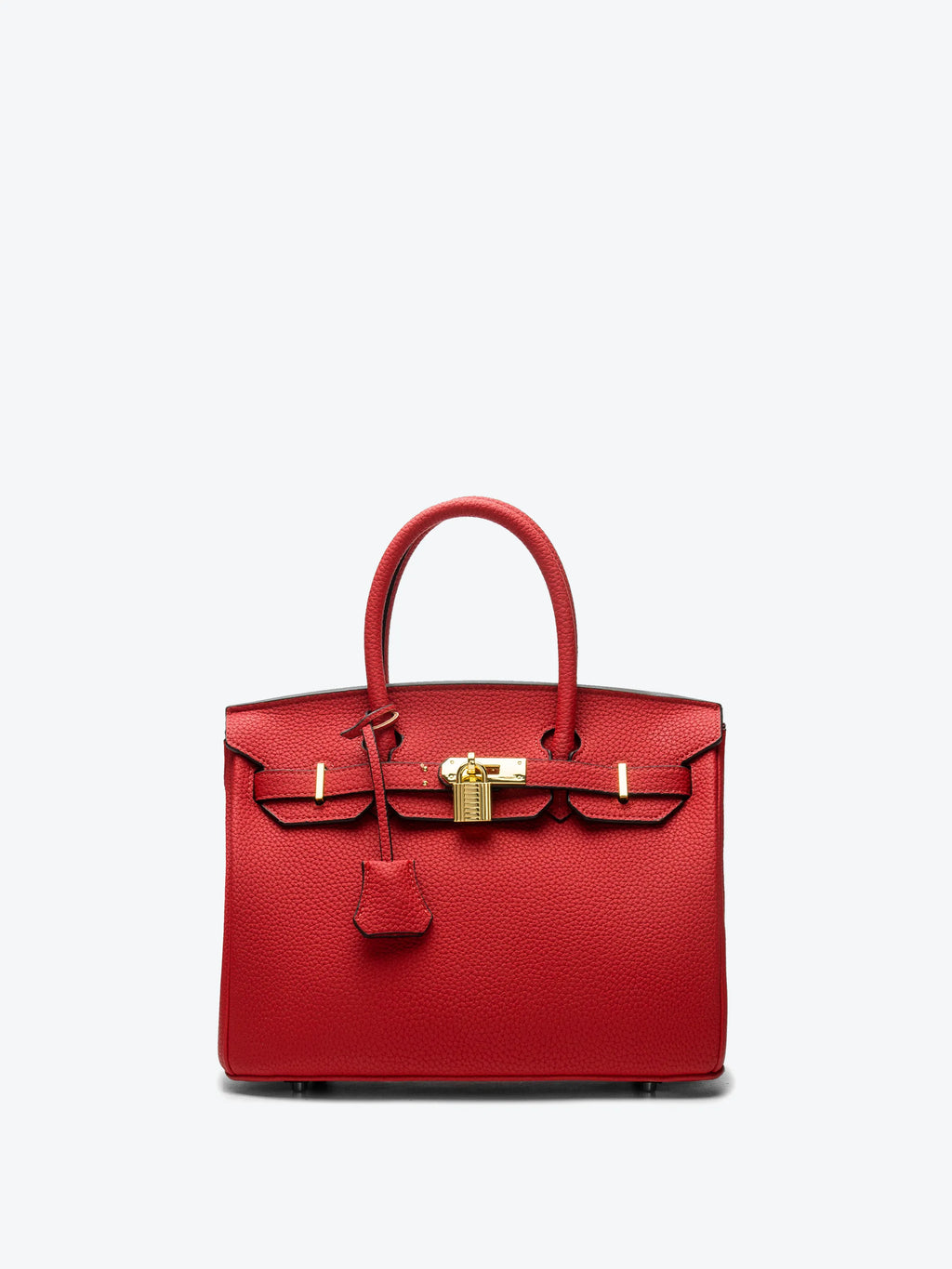 Handbag - Lychee texture