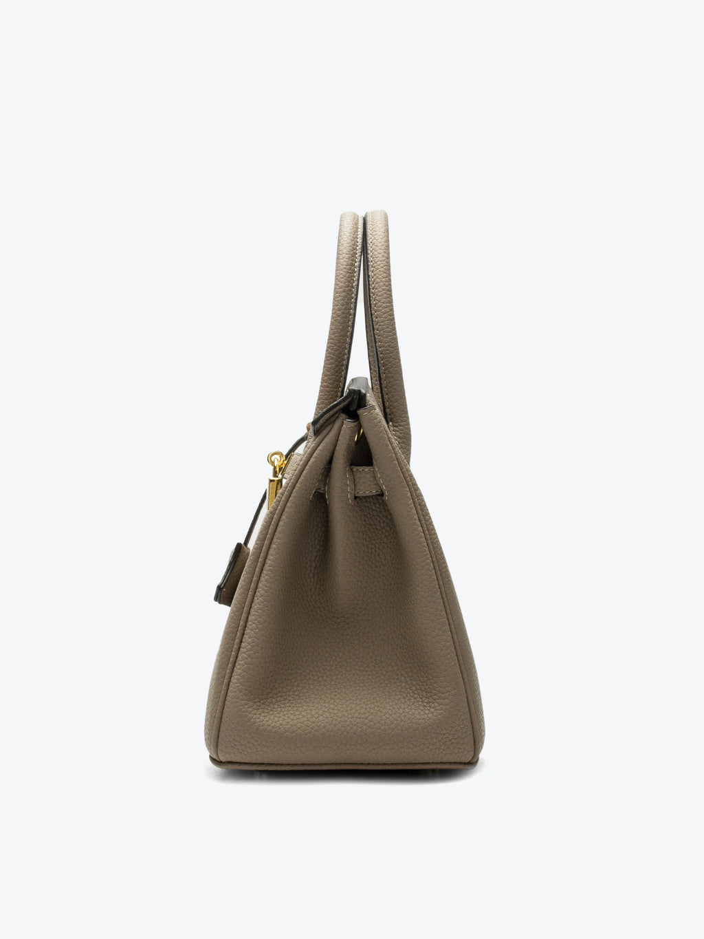 Handbag - Lychee texture