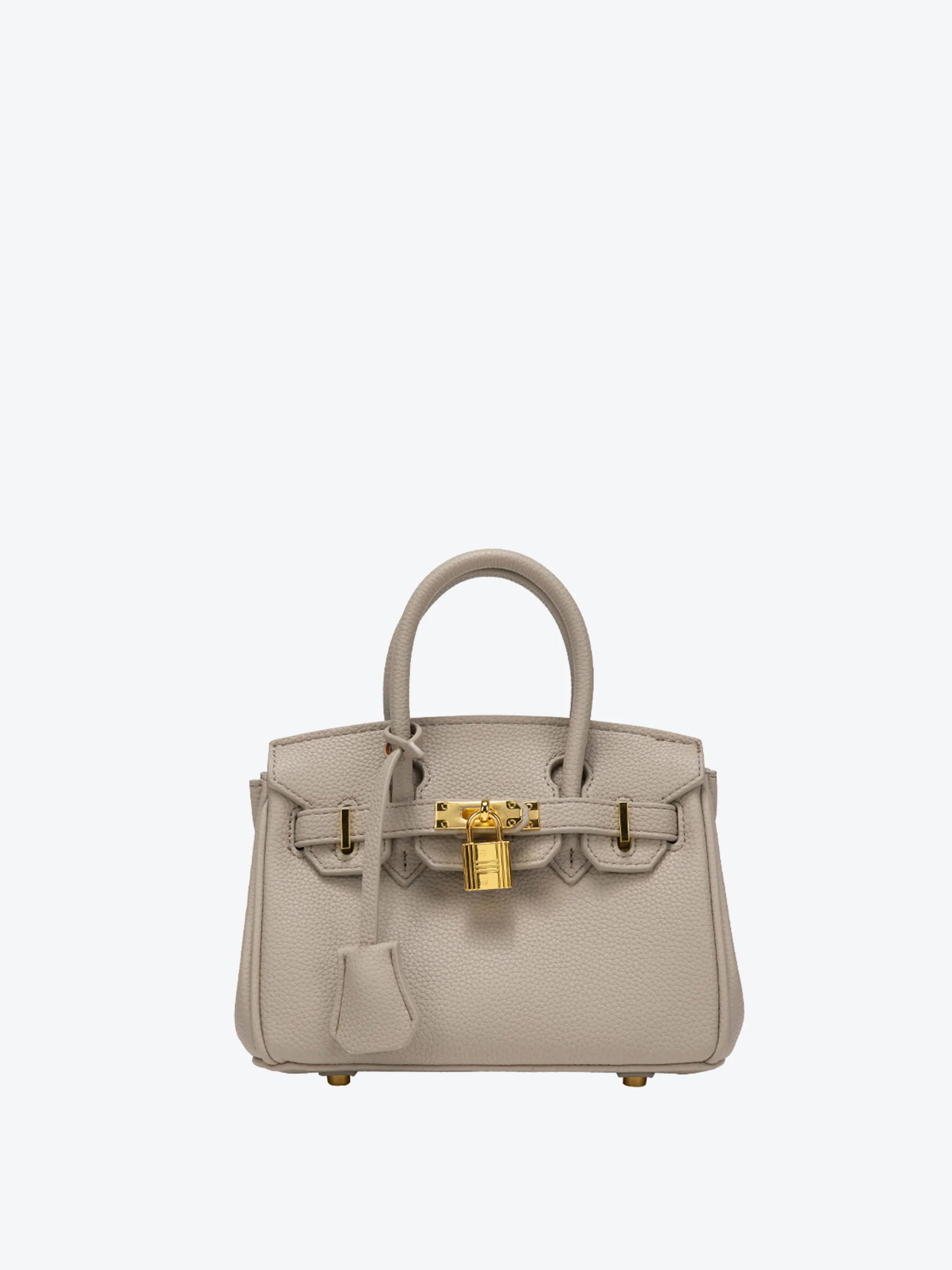 Small Handbag - platinum bag